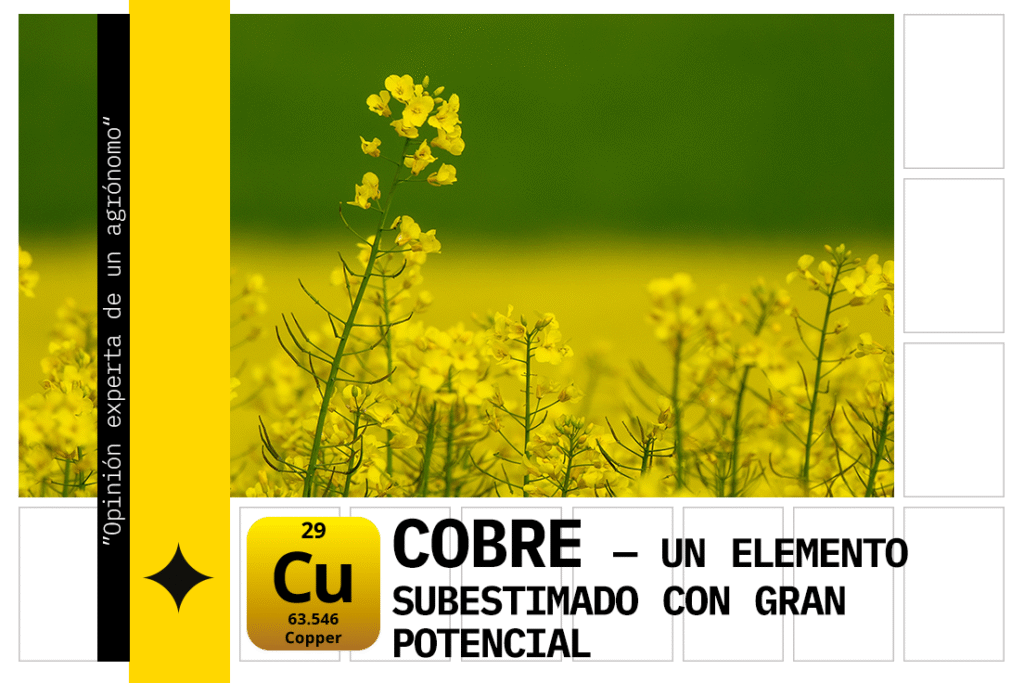 fertilización con cobre