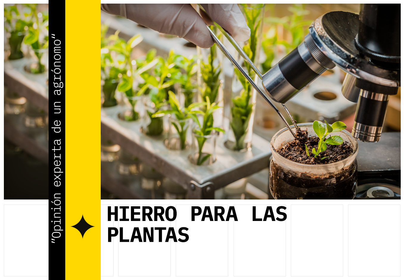 hierro