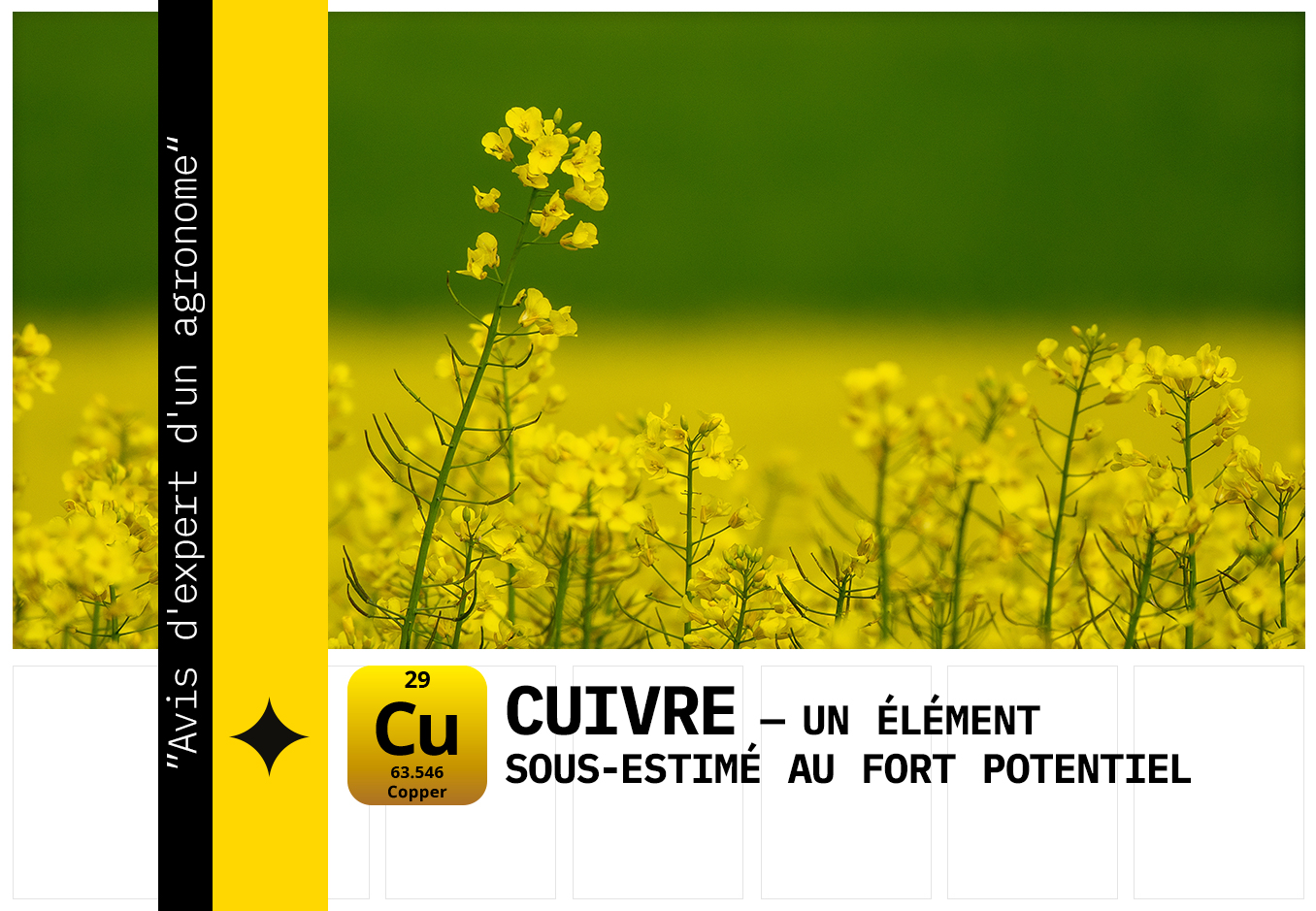le cuivre améliore le rendement
