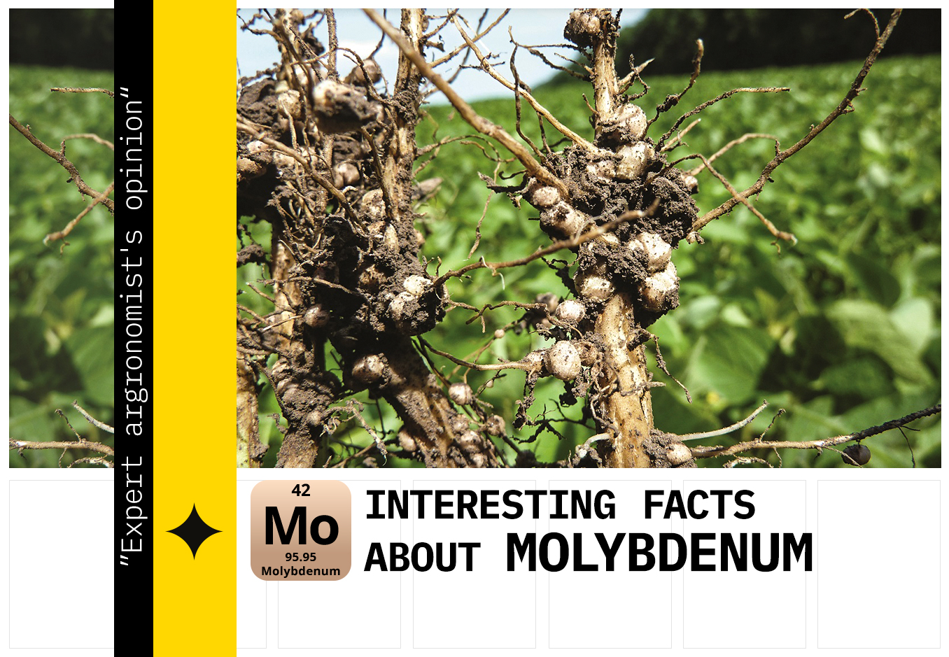 molybdenum