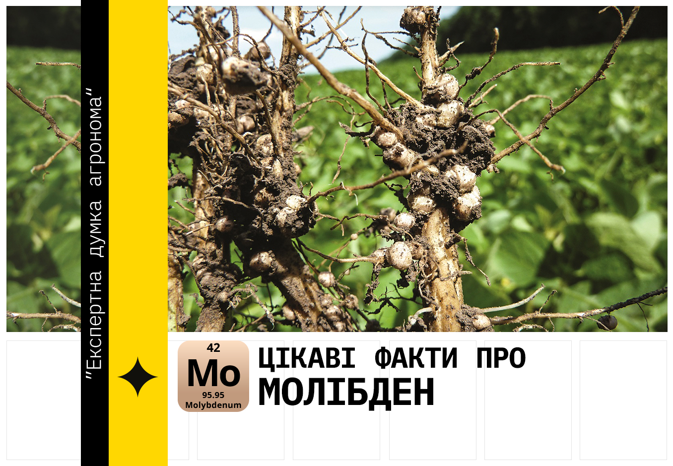 молібден