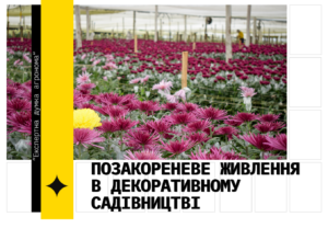 Позакореневе живлення в декоративному садівництві