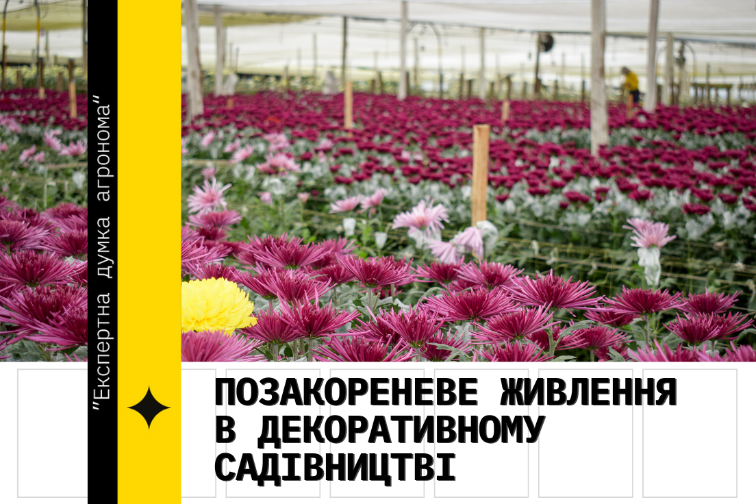 Позакореневе живлення в декоративному садівництві