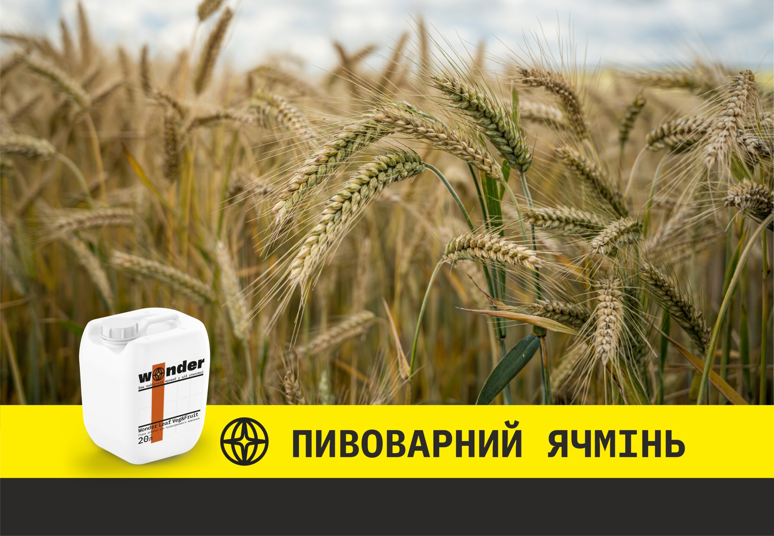 Пивоварний ячмінь дослід