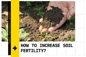 A hand that holds a bit of soil