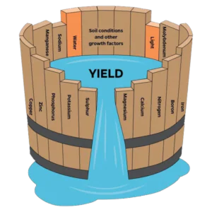 Ilustración de un tonel Liebich