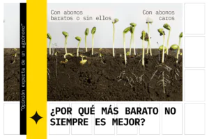 ¿POR QUÉ MÁS BARATO NO SIEMPRE ES MEJOR?