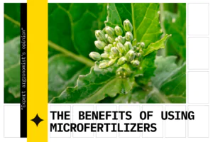 The benefits of using microfertilizers