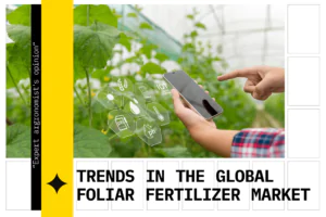 Development of the global fertilizer market