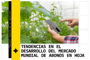 Alimentación foliar para el cacao