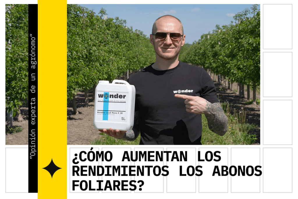 Fertilizantes foliares