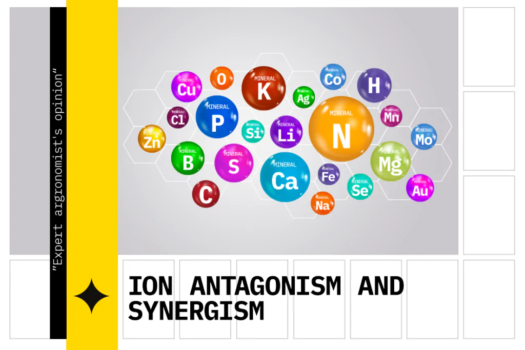 Ion antagonism and synergism: known and unknown element combinations