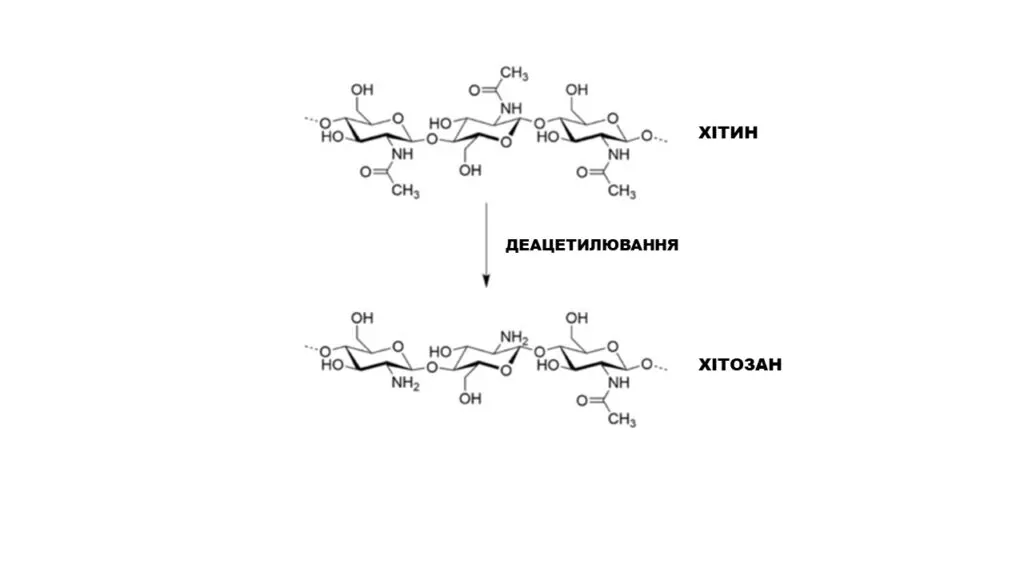 Застосування хітозану