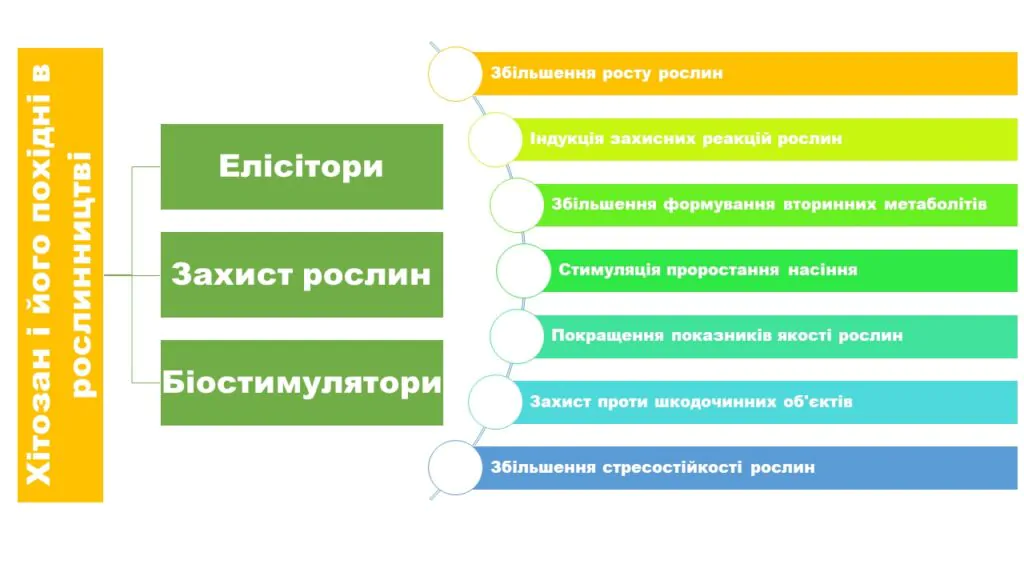Застосування хітозану