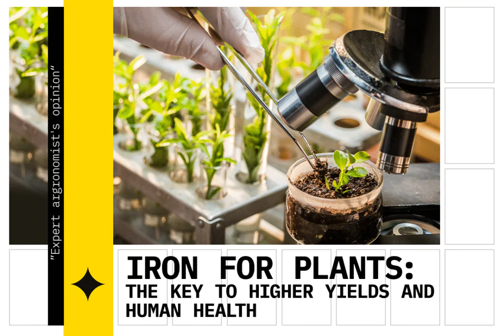 foliar application of iron