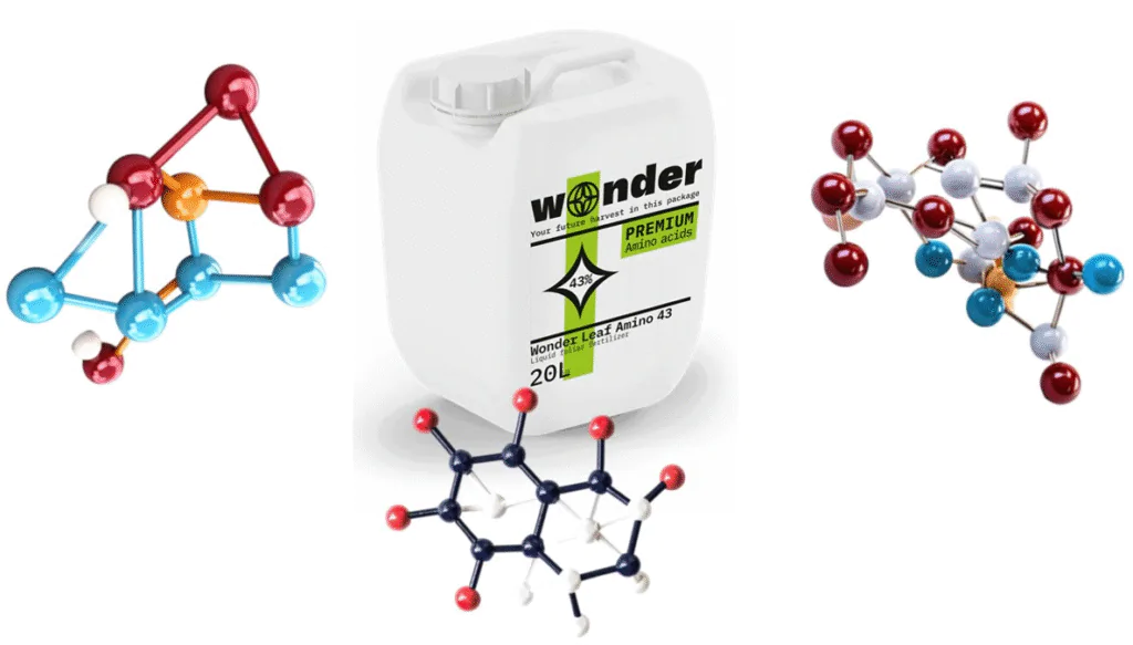 Амінокислоти