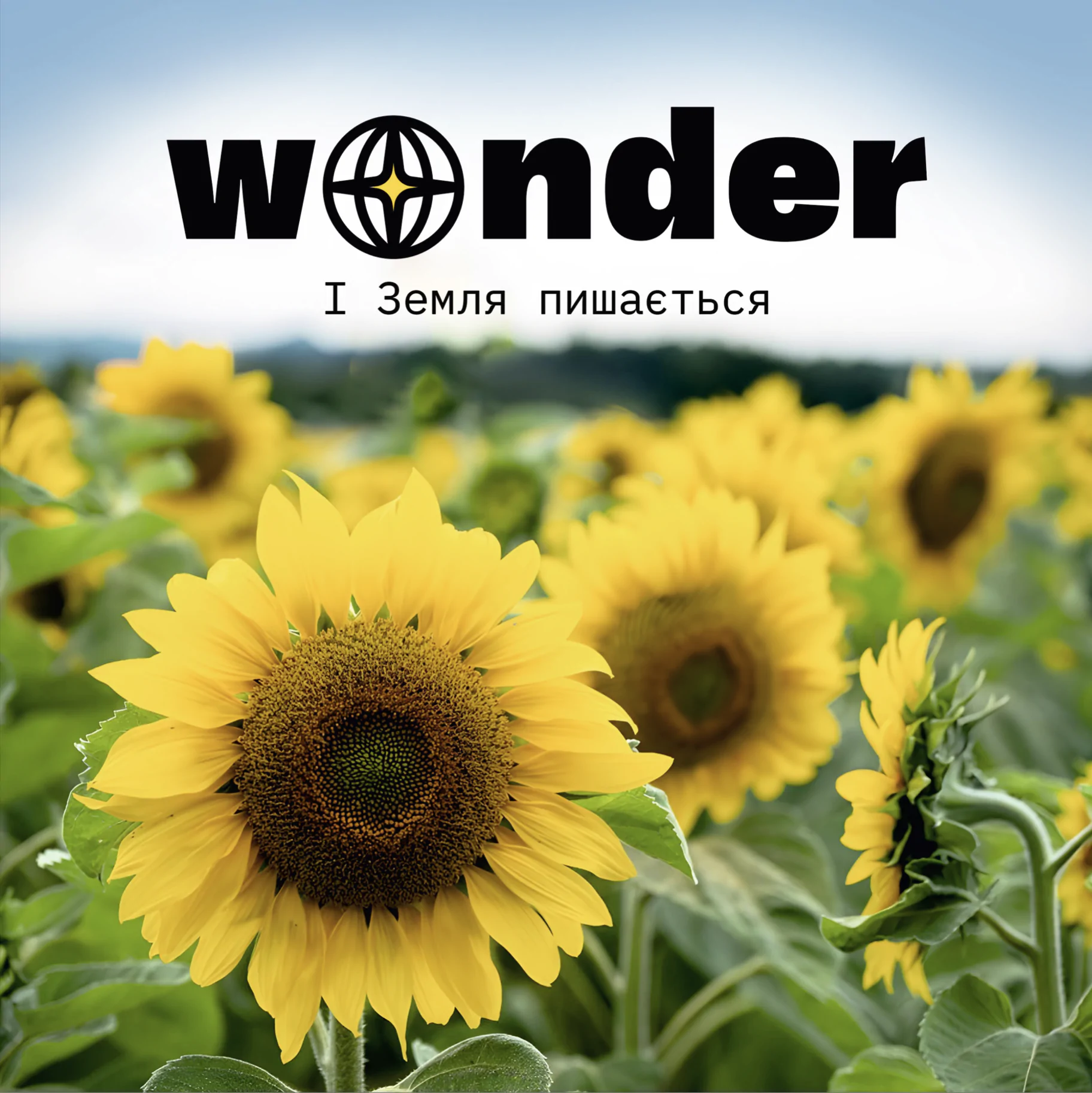 Каталог компанії Wonder